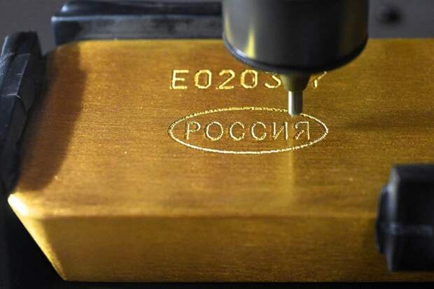 Фото: РИА Новости/Илья Наймушин