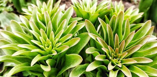 Надолго ли заметное похолодание на Кубани