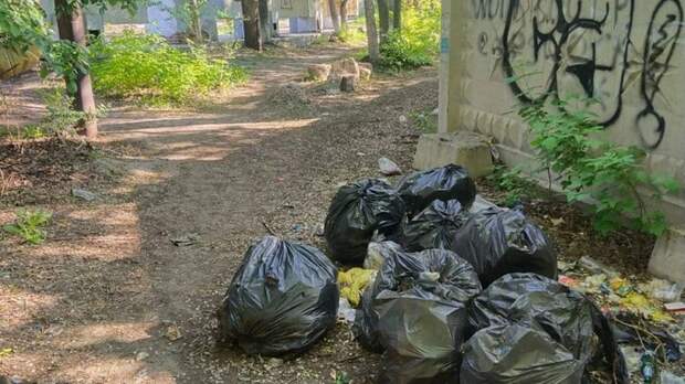 В Рубцовске пожаловались на мусор на проспекте Ленина