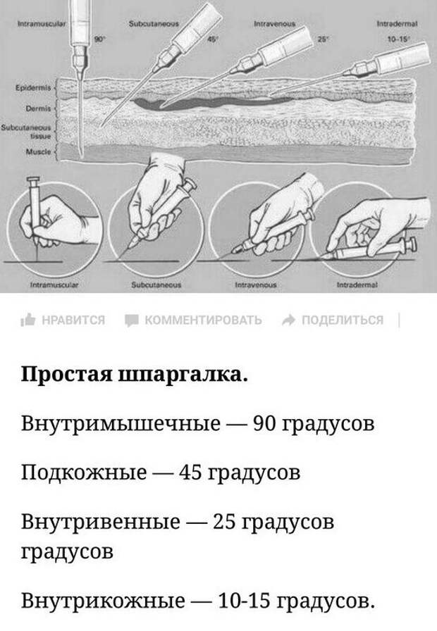 20 самых оздоровительных в мире шпаргалок