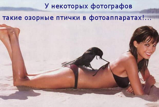 Лучшие котоматрицы недели Лучшие котоматрицы недели