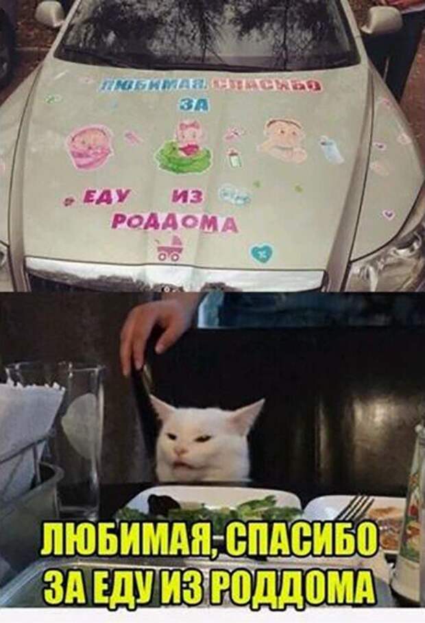 Смешные и познавательные картинки