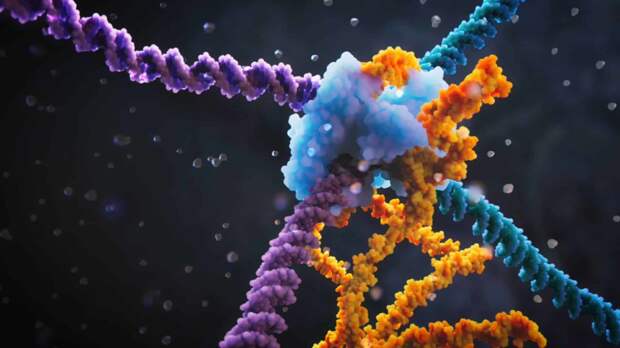 Исследователи разработали новую технику редактирования генов, которая может полностью перестроить геном