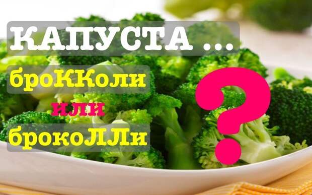 Пишите с ошибками или правильно? Тест определит ваш уровень грамотности