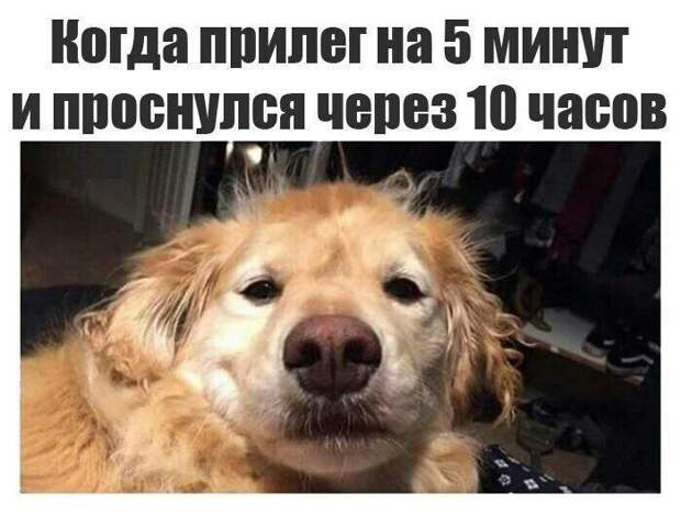 Смешные картинки с надписями картинки, картинки с надписями, юмор