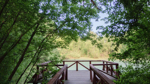 Лосиный остров