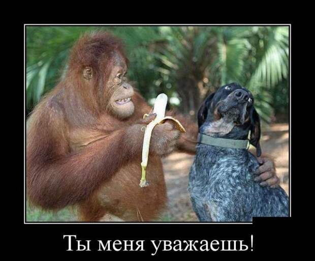 Смешные демотиваторы: «Минздрав в недоумении»