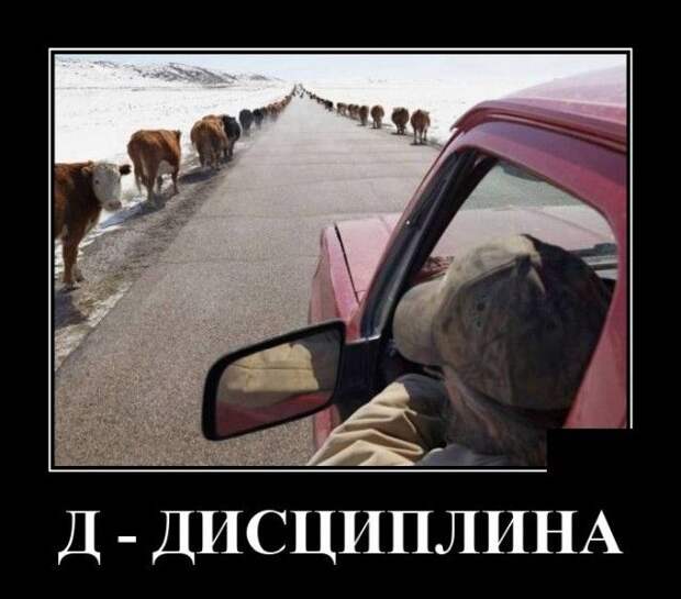 demotivatory-demotivator-smeshnye-demotivatory-demotivator-so-smyslom