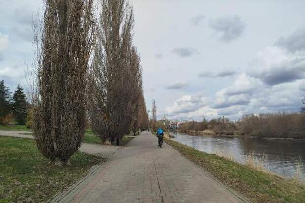 Тамбовчанам обещают преимущественно пасмурную и дождливую погоду на этой неделе