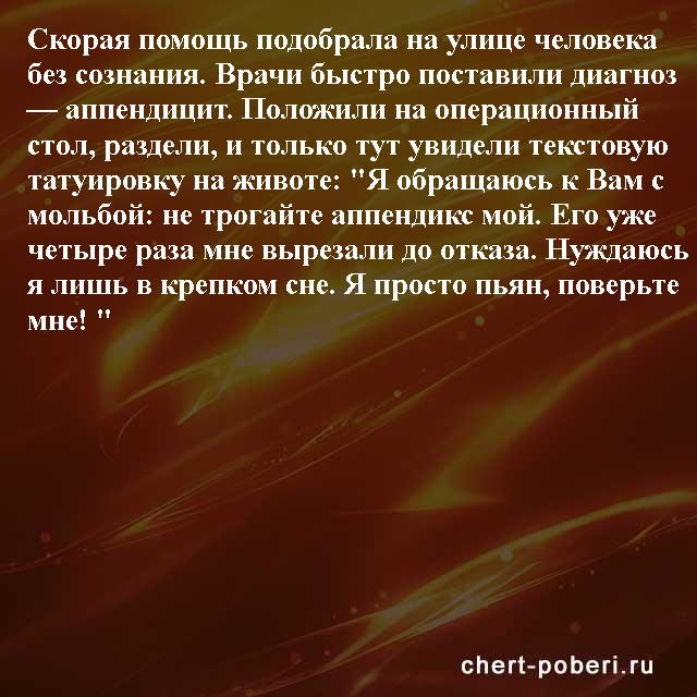 Самые смешные анекдоты ежедневная подборка chert-poberi-anekdoty-chert-poberi-anekdoty-54570311082020-2 картинка chert-poberi-anekdoty-54570311082020-2