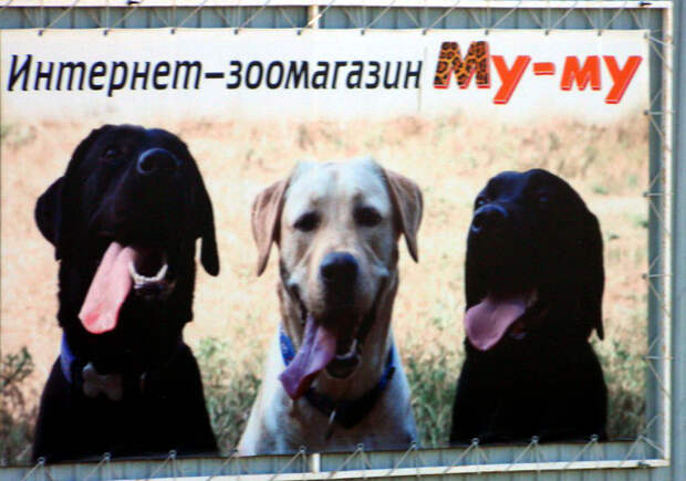 Просто скажите, почему «Му-му»!? Просто скажите, почему «Му-му»!?