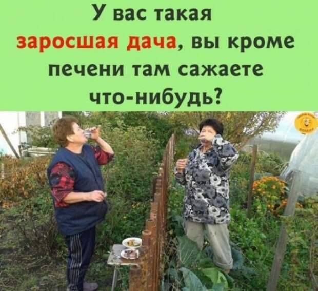 Баянисто-небаянистый юмор