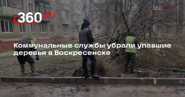 Коммунальные службы убрали упавшие деревья в Воскресенске