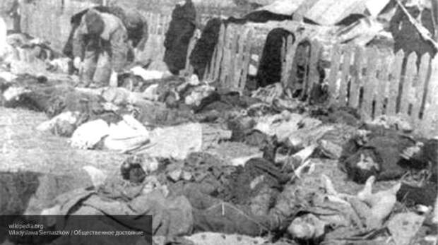 Волынская резня – трагедия для современных поляков и украинцев или просто дата?