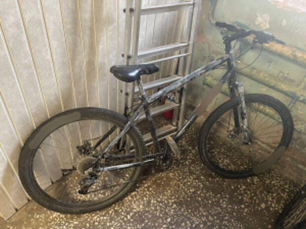 Сотрудники уголовного розыска отдела полиции «Гагаринский» вернули похищенный велосипед