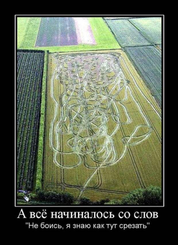 Демотиваторы