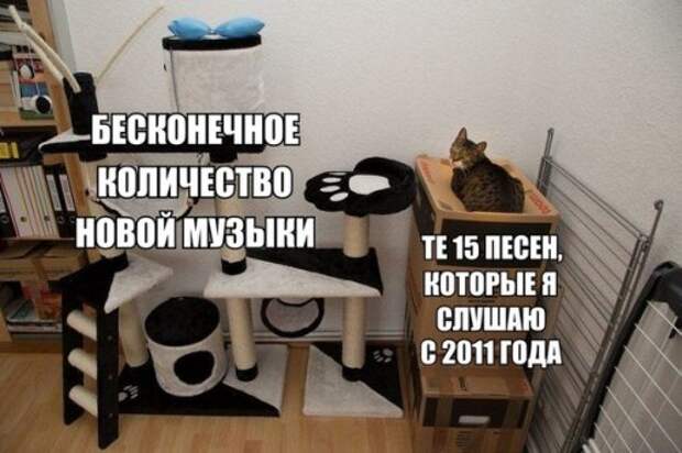 Смешные анекдоты для старта недели