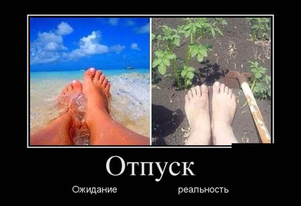 Демотиваторы (30 фото)