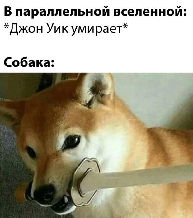 Смешные картинки 28 октября 2021 года
