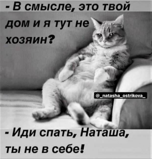 Баянисто-небаянистый юмор
