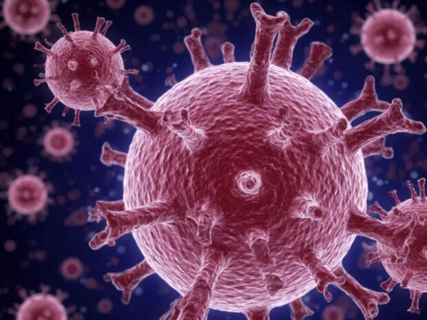 Снижение заболеваемости ОРВИ фиксируется в Новосибирской области