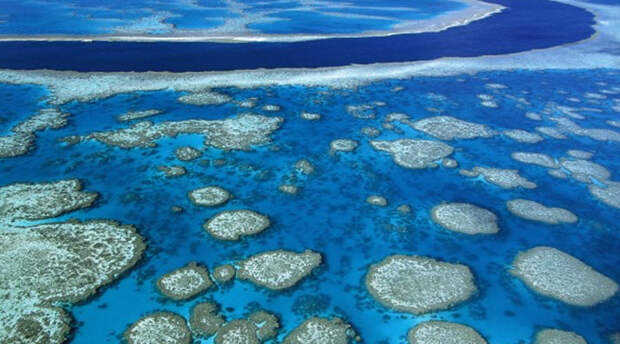 Большой Барьерный риф достопримечательности, мир, природа, фото