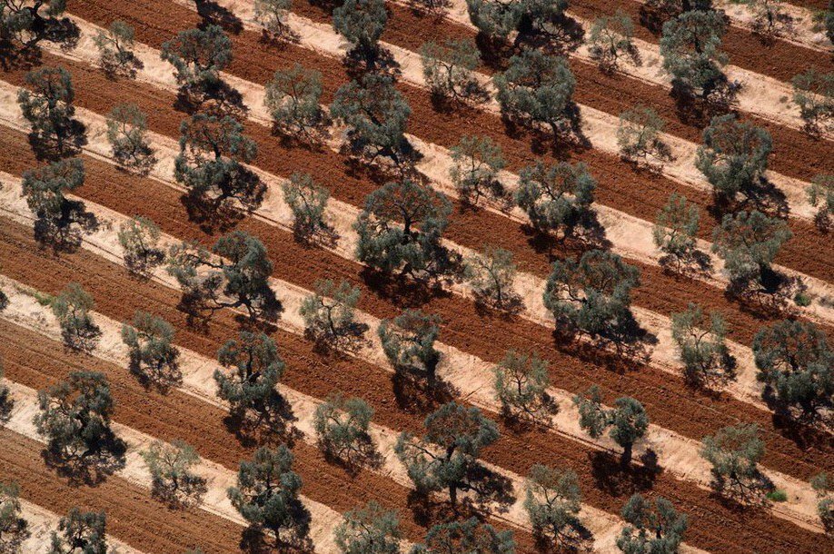 Yann Arthus-Bertrand