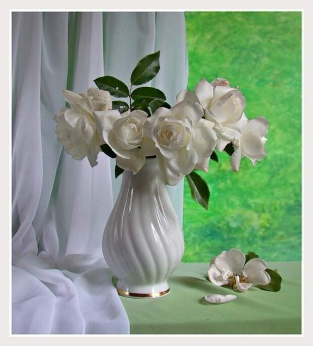 букет белых цветов фото