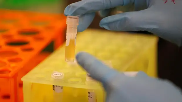 Мурашко заявил, что ситуация с коронавирусом в России стабилизируется