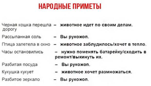 Веселые картинки и забавные фото с надписью со смыслом (11 фото)