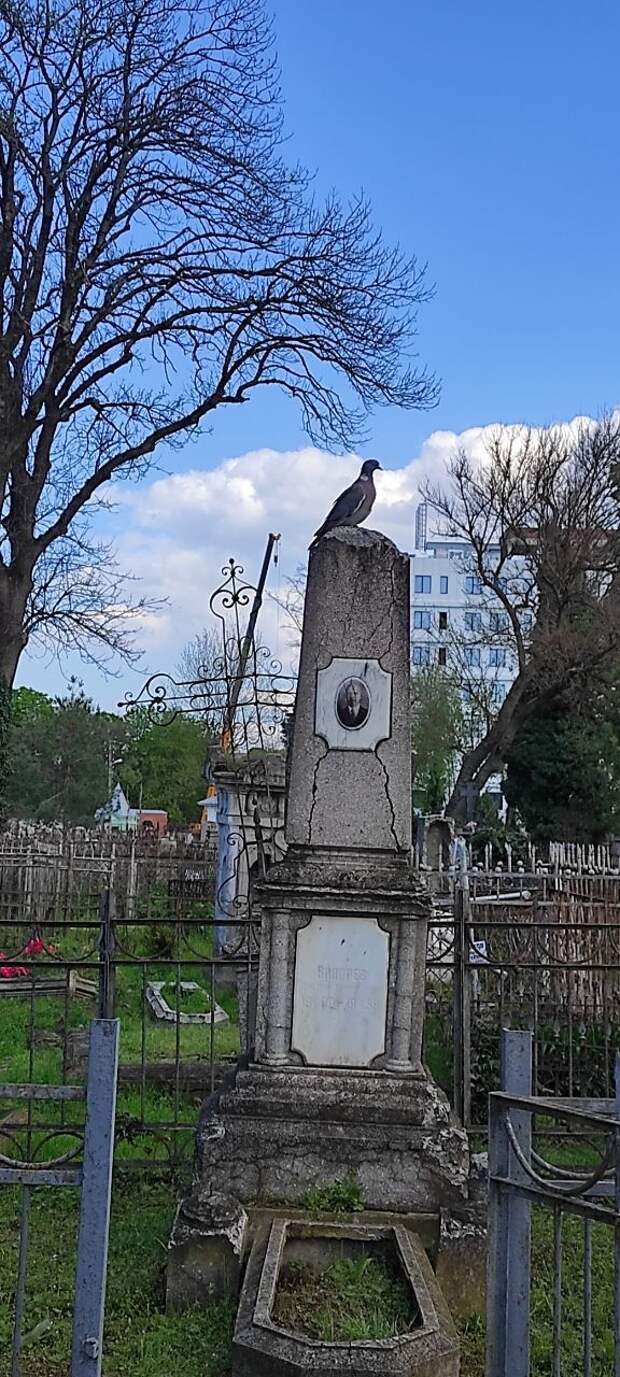 Позор! Цветочный бизнес на кладбище: на Кубани поймали воров с поличным