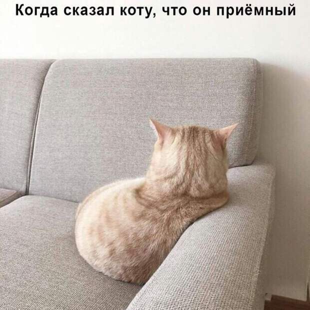 Давайте улыбаться вместе