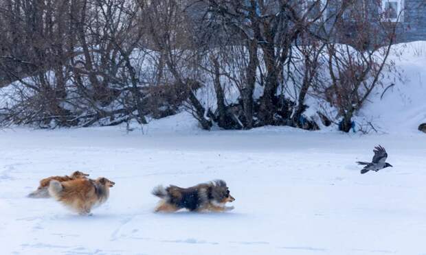 День сравнялся с ночью 20 марта