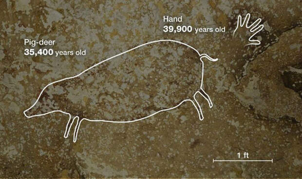 Трафаретное изображение руки и рисунок свиньи-бабируссы