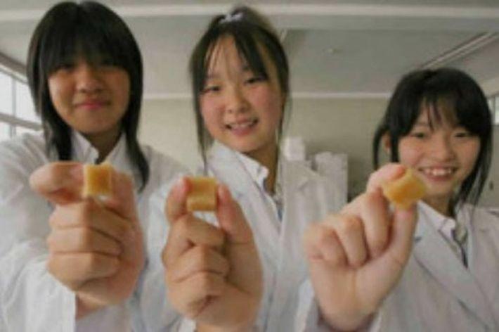 10 поразительных способов применения медуз