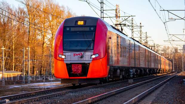 Две несовершеннолетние девочки погибли под колесами поезда в Новой Москве