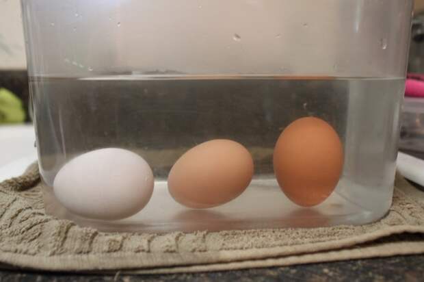 Чтобы проверить свежесть продукта, нужно яйцо поместить в воду / Фото: keywordbasket.com