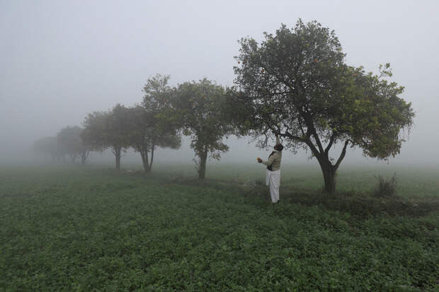 PAKISTAN-WEATHER/
