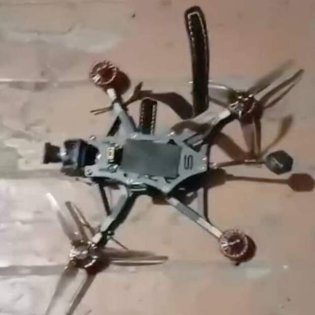 Военблогер показал найденное в зоне СВО «чудовище»