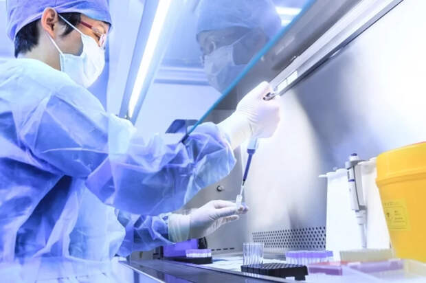 95% людей носит опасный вирус, вызывающий рак. Ученые нашли способ его остановить