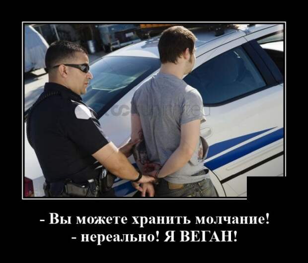 Демотиваторы 13 августа 2020