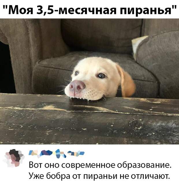 www.vsyako.net