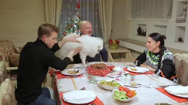 "Малыш": видео с красавцем Колей Лукашенко и белым песиком умилило россиян