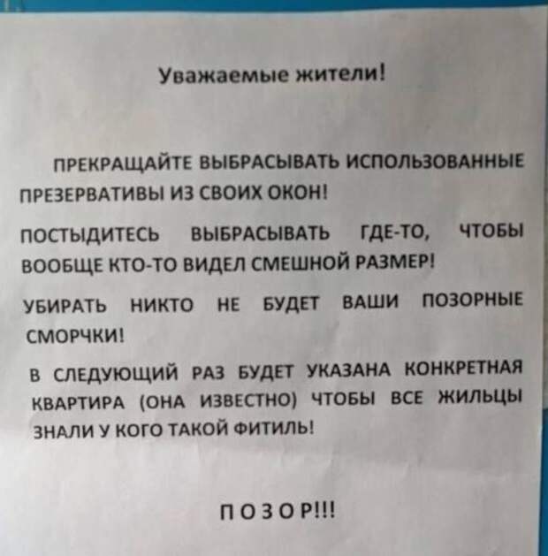 картинки прикольные смешные (11)