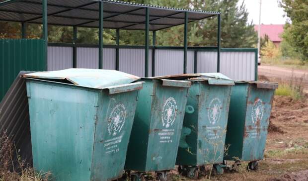 В Сарапуле установят 30 контейнерных площадок для сбора ТКО