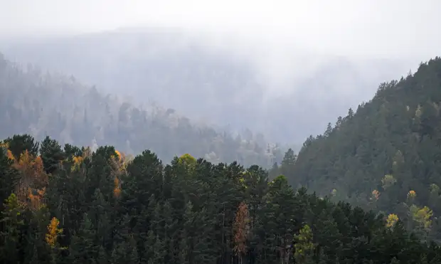 «Линейная работа целиком закончена»: Путин сообщил о завершении укладки первой нитки «Северного потока — 2»