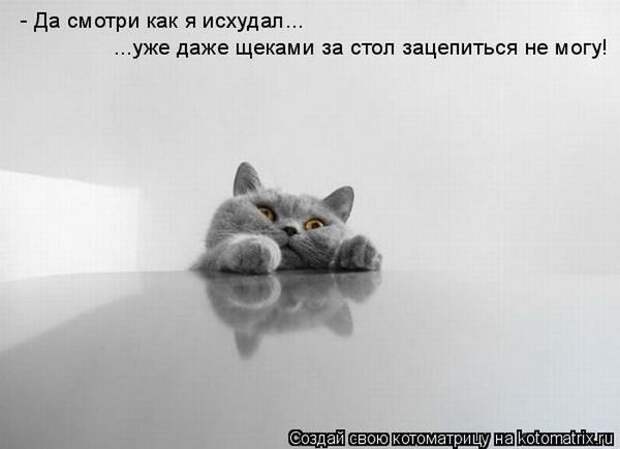 Мысли вслух :)