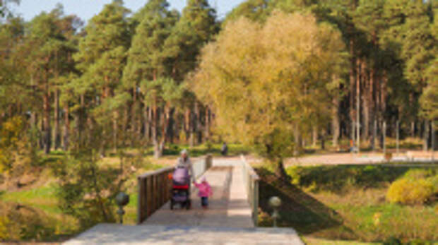 Новые региональные меры демографической и семейной политики в Ивановской области распространят свое действие ретроспективно - с 1 января текущего года