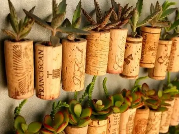 20 маленьких садов, которые поместятся в ладошке