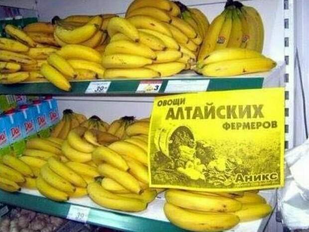 Так вот они какие, алтайские овощи Так вот они какие, алтайские овощи надписи, объявления, прикол, россия, смешные объявления